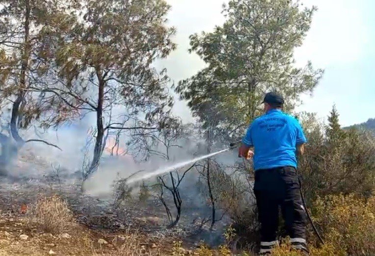 El incendio forestal en Mersinlik-Tatlısu en la RCTN ha sido controlado