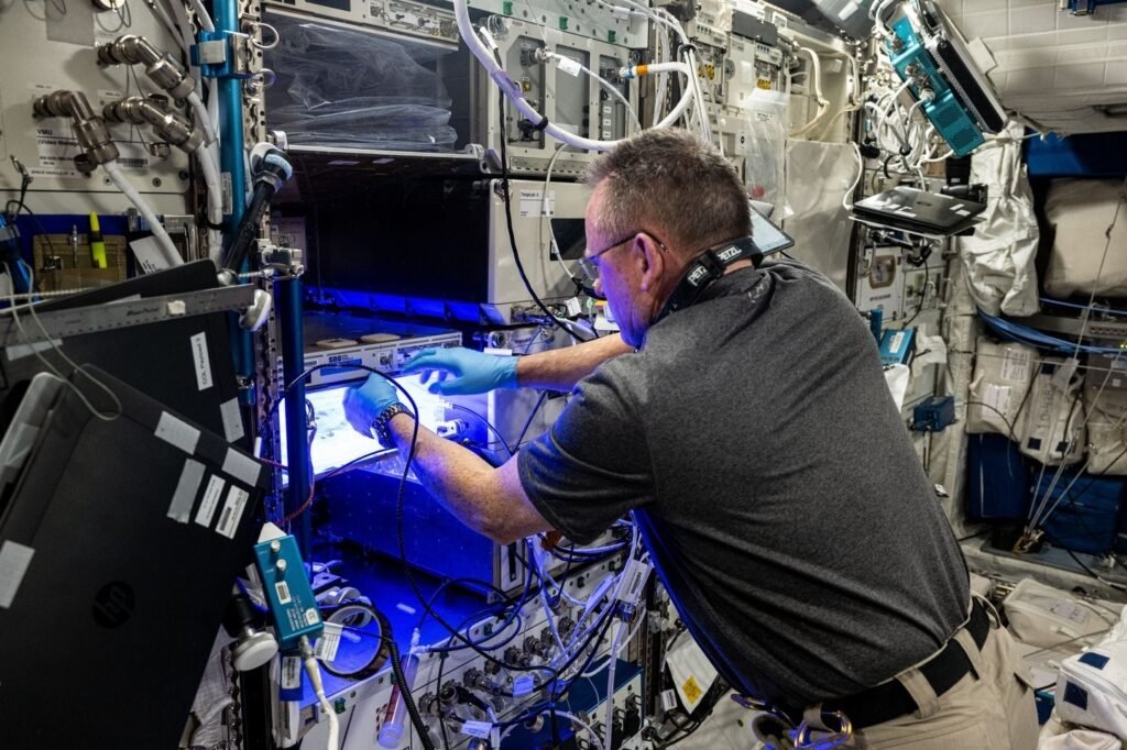 NASA anunció que los astronautas de Starliner regresarán a la Tierra en febrero.