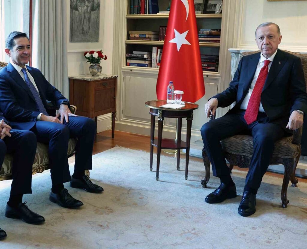Le président Erdoğan a reçu le président du comité exécutif de BBVA, Carlos Torres Vila