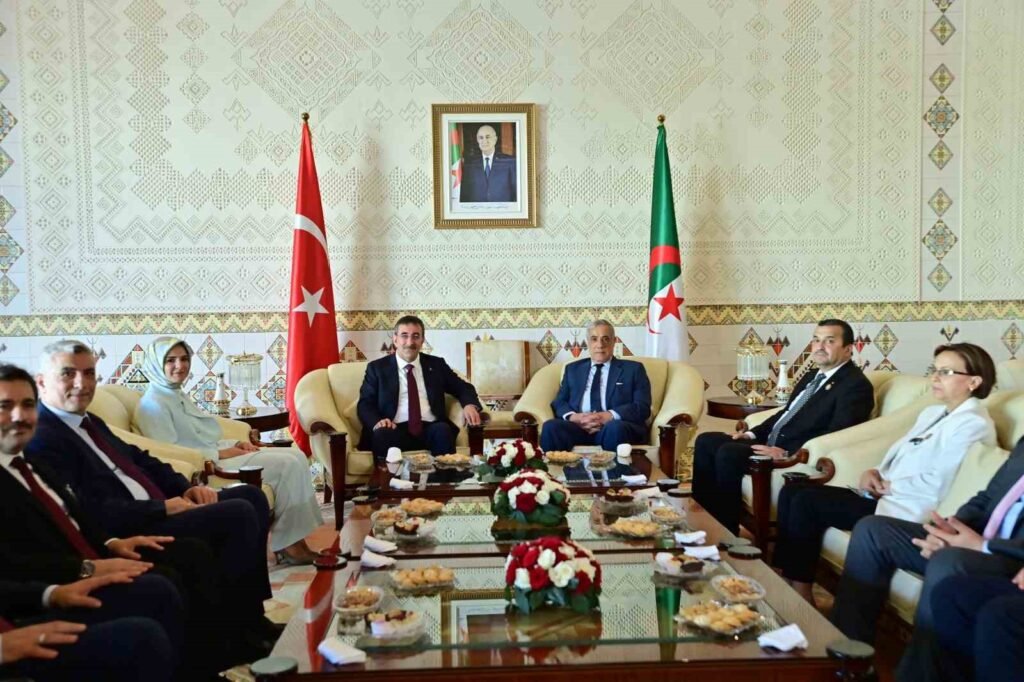 Vice President Yılmaz in Algeria